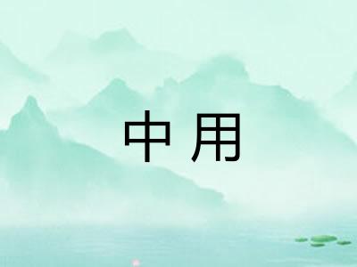 中用
