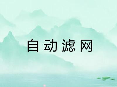 自动滤网