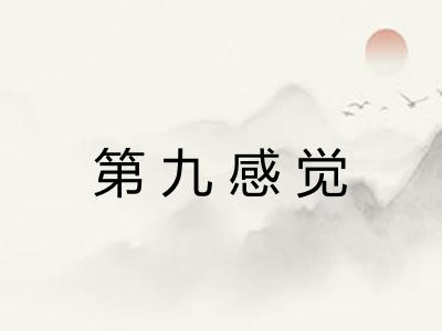 第九感觉