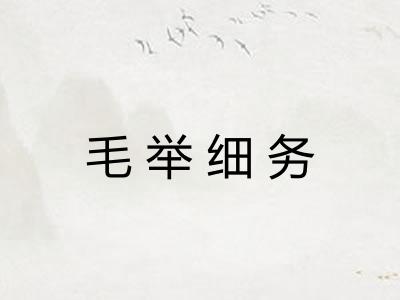 毛举细务
