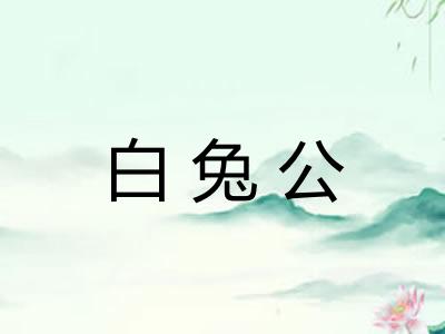 白兔公