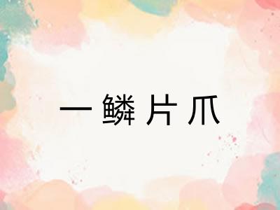 一鳞片爪