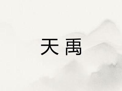 天禹