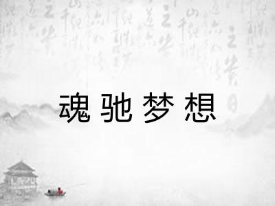 魂驰梦想