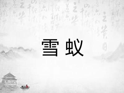 雪蚁