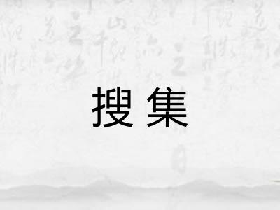 搜集