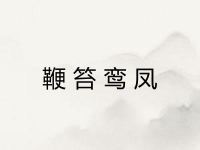 鞭笞鸾凤