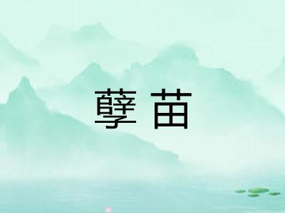 孽苗