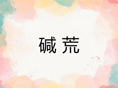 碱荒