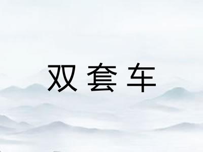 双套车