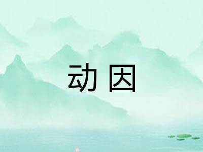 动因