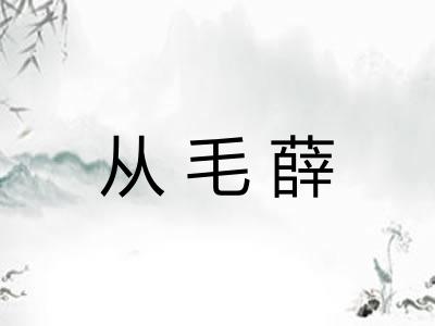 从毛薛
