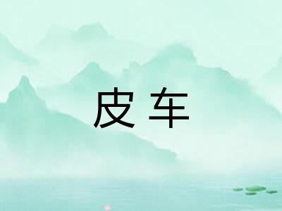 皮车