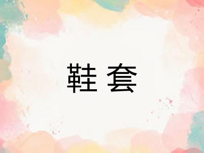 鞋套