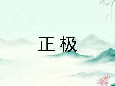 正极