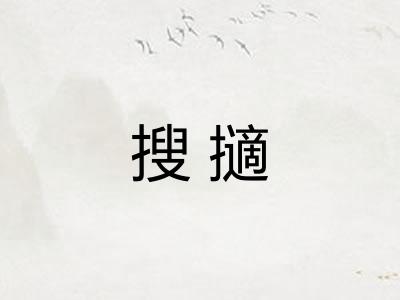 搜擿