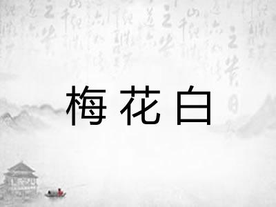 梅花白
