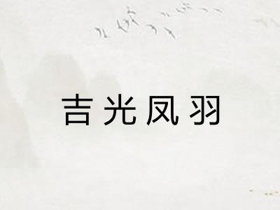 吉光凤羽