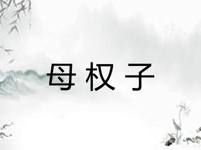 母权子