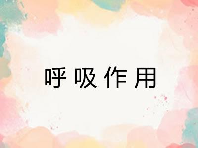 呼吸作用