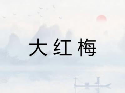 大红梅