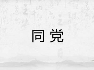 同党
