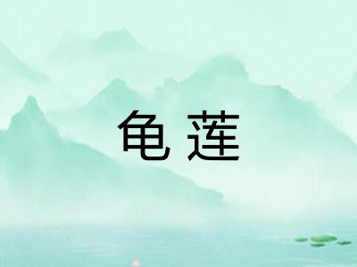 龟莲