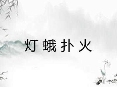 灯蛾扑火