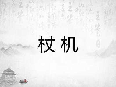 杖机