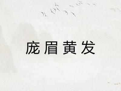 庞眉黄发