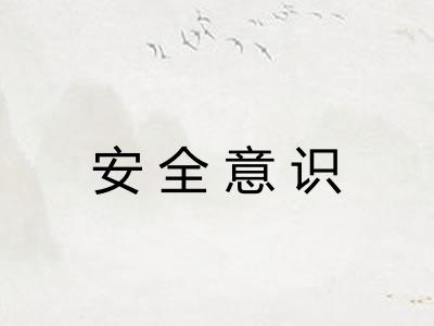 安全意识