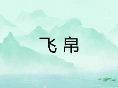 飞帛