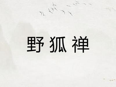 野狐禅
