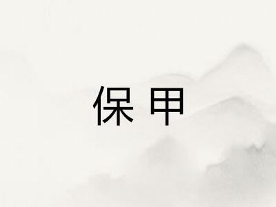保甲