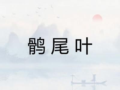 鹘尾叶
