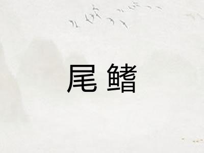 尾鳍