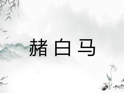 赭白马