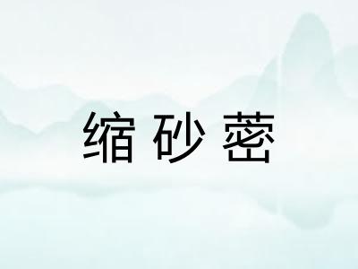 缩砂蔤