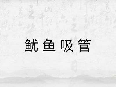 鱿鱼吸管