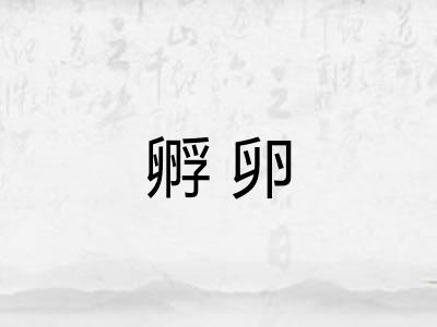 孵卵