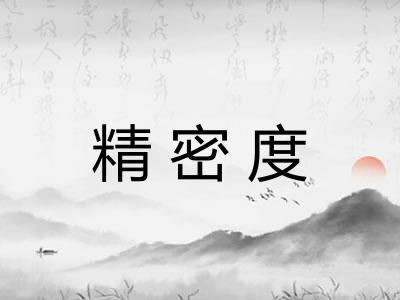 精密度