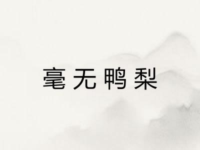 毫无鸭梨