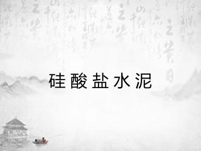硅酸盐水泥
