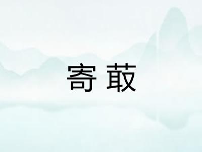 寄菆