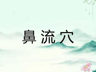 鼻流穴