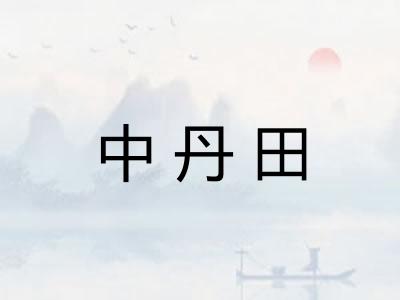 中丹田