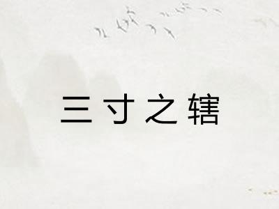 三寸之辖