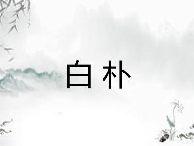 白朴