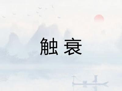 触衰