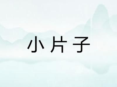 小片子
